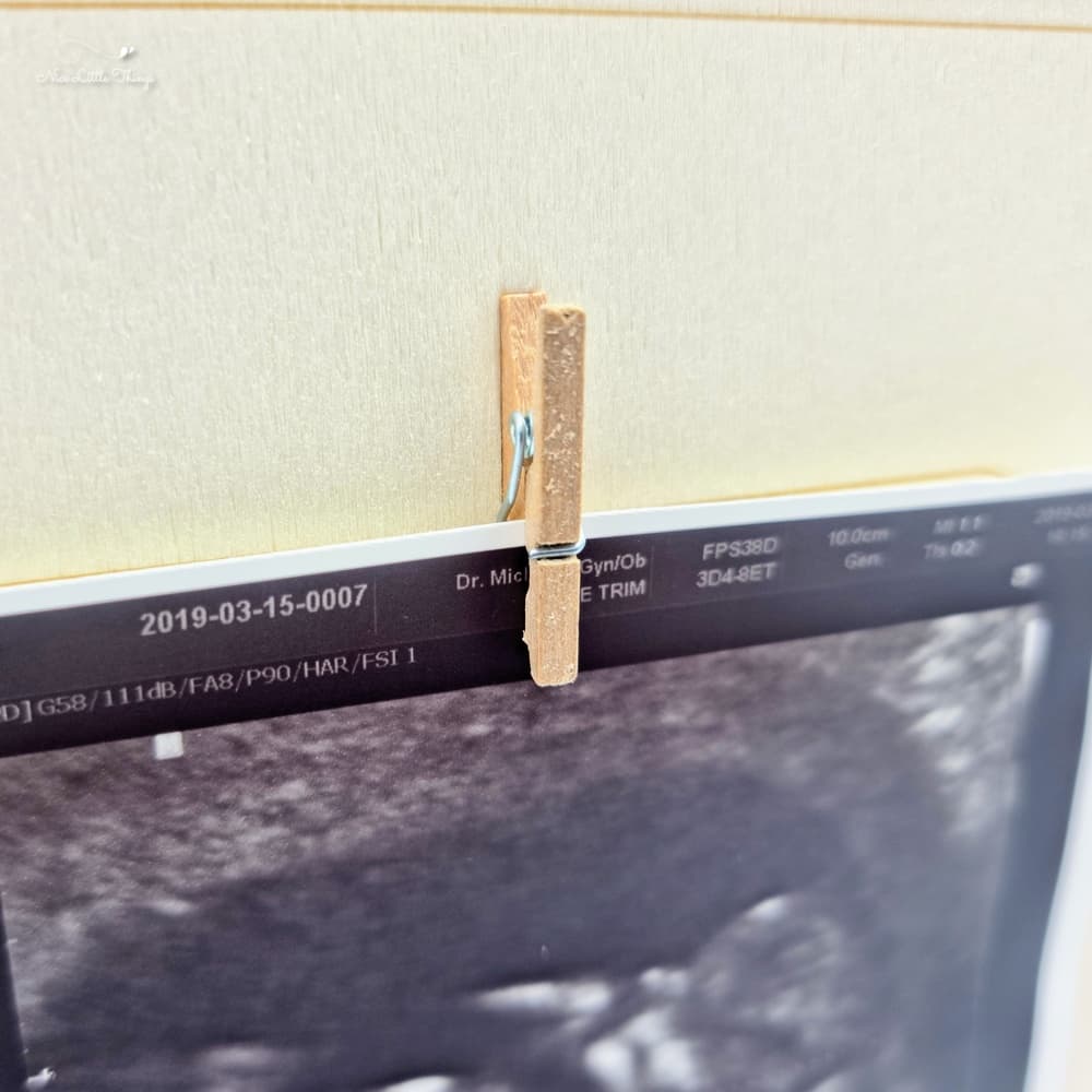 20230207_194919-1676287790492